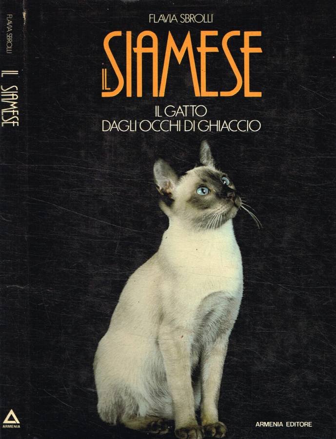 Il siamese | Immagine principale