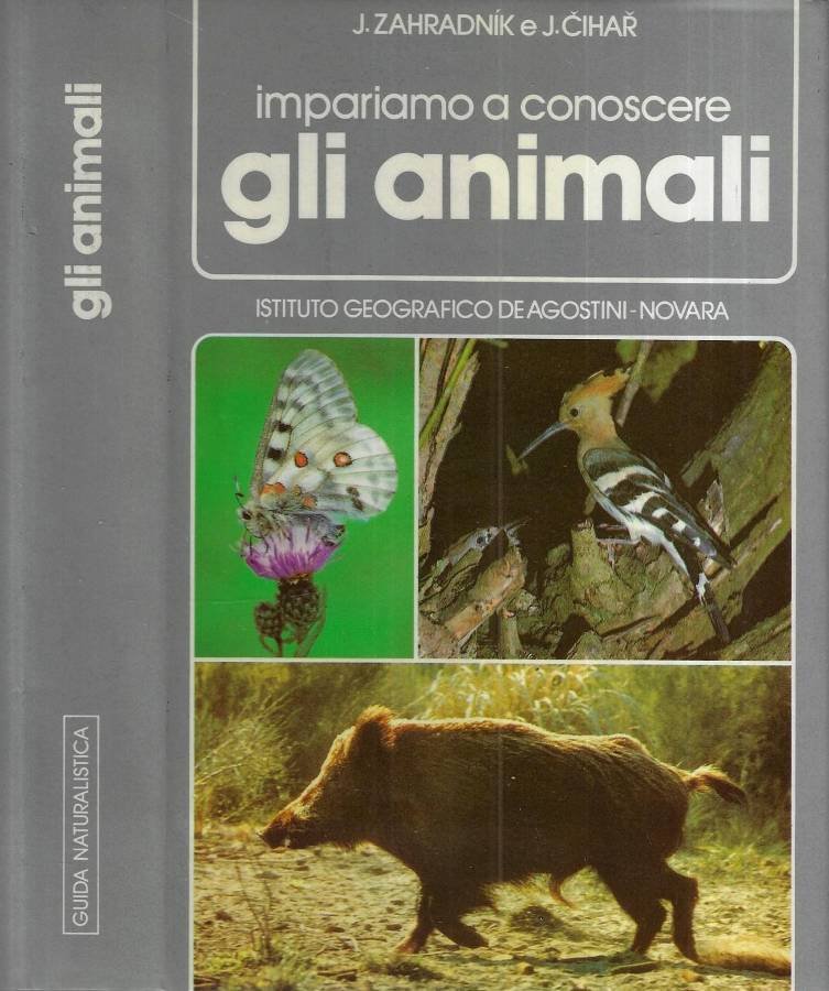 Impariamo a conoscere gli animali | Immagine principale