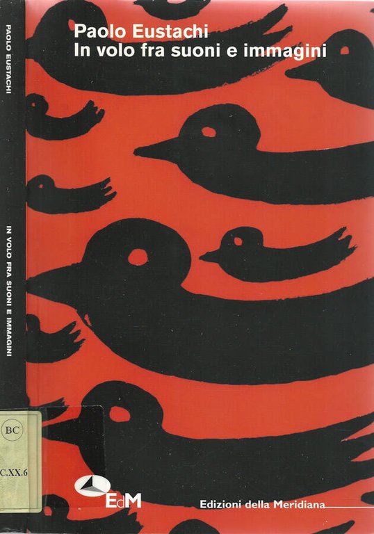 In volo fra suoni e immagini | Immagine Gallery 2