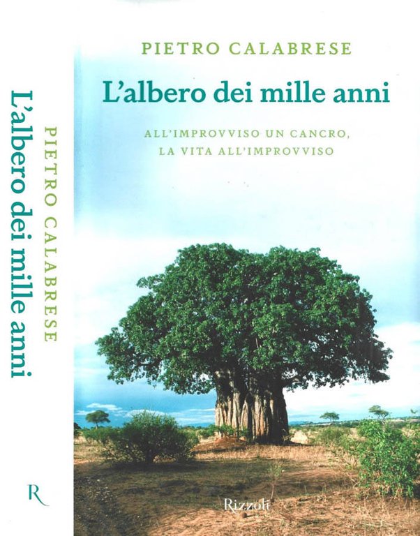 L'albero dei mille anni