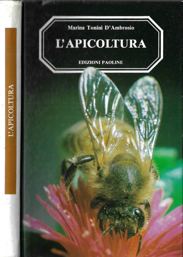 L' apicoltura