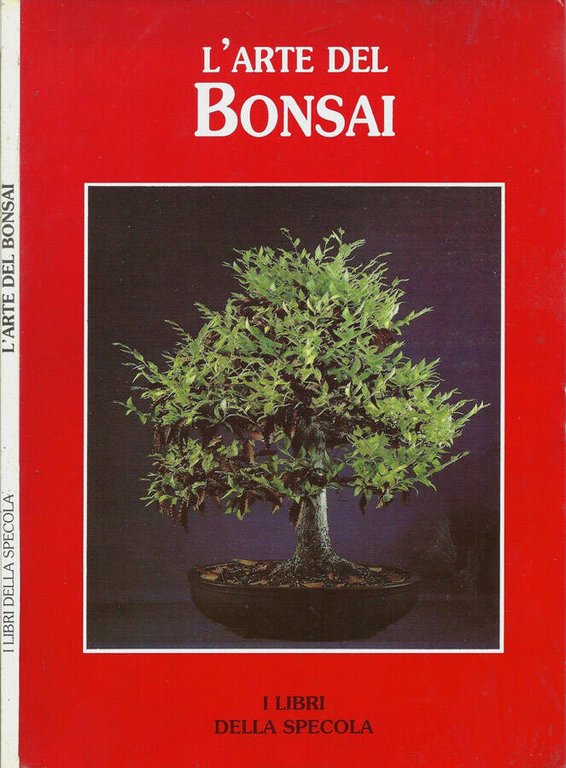 L'arte del Bonsai | Immagine Gallery 2