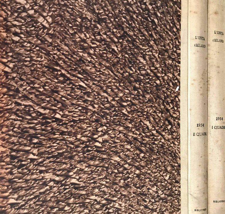 L'Unità 1954 | Immagine Gallery 2