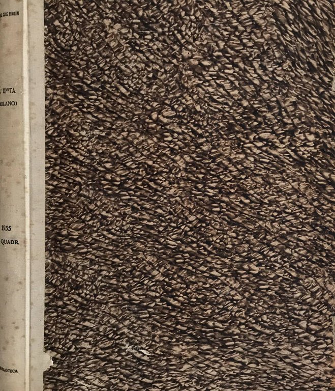 L'Unità 1955 | Immagine Gallery 2