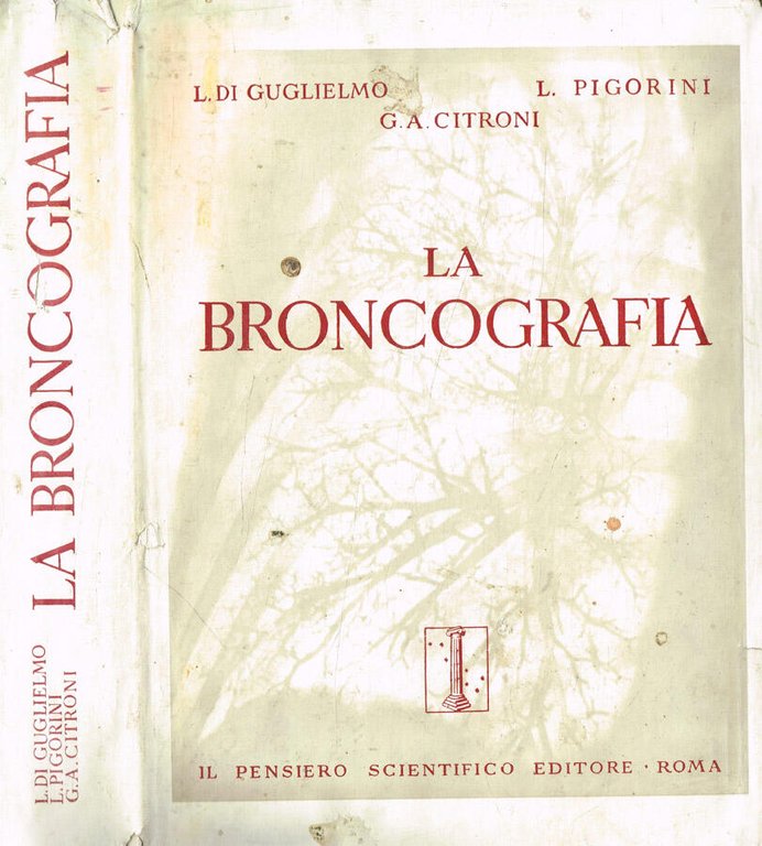 La broncografia | Immagine Gallery 2