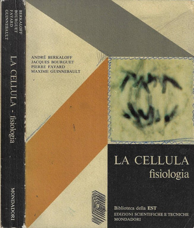 La cellula | Immagine Gallery 2