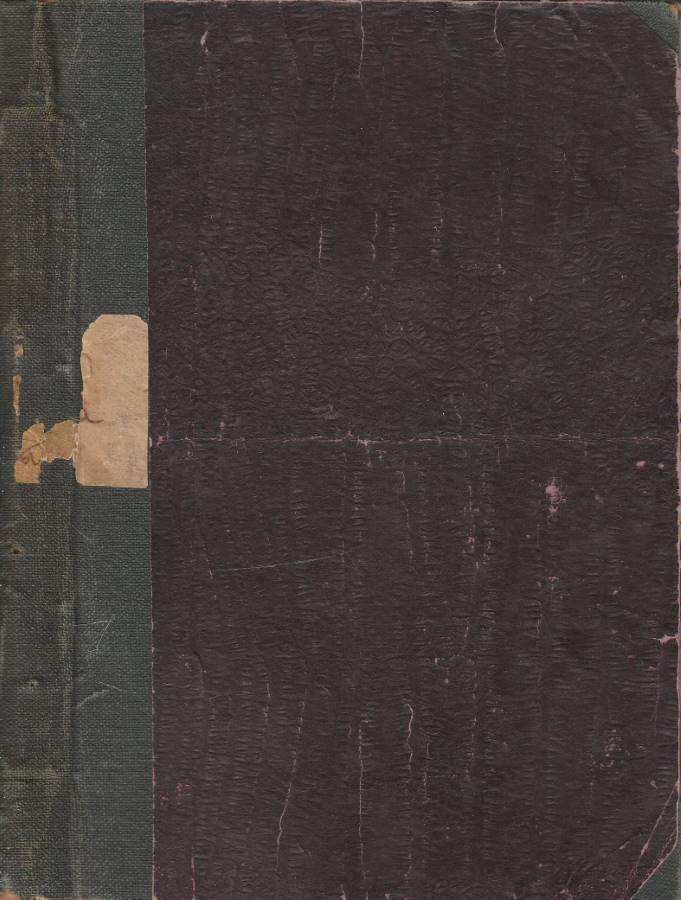 La figlia della ballerina | Immagine principale