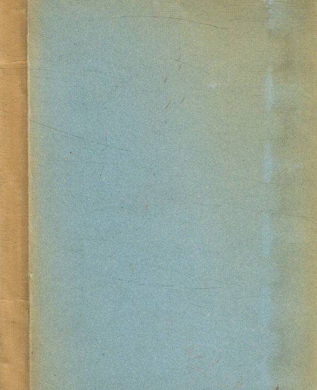 La vita nuova