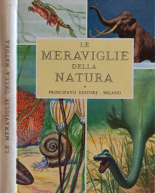 Le meraviglie della natura