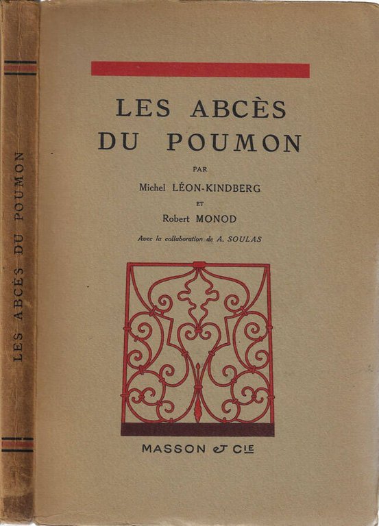 Les abcès du poumon