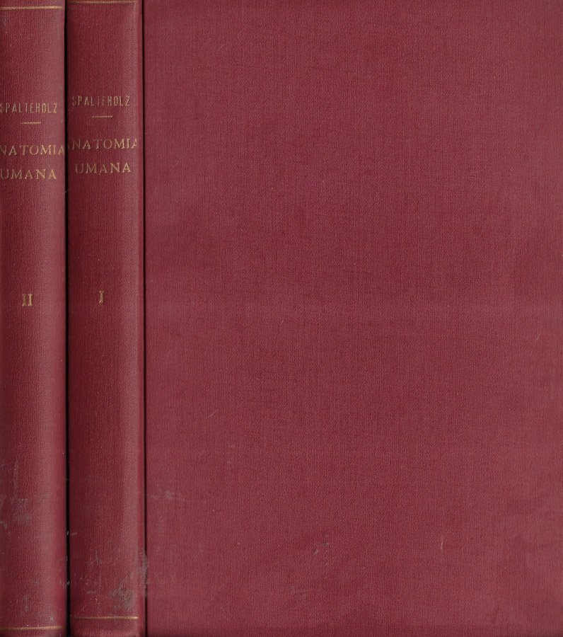 Manuale-atlante di anatomia umana Vol. I, II
