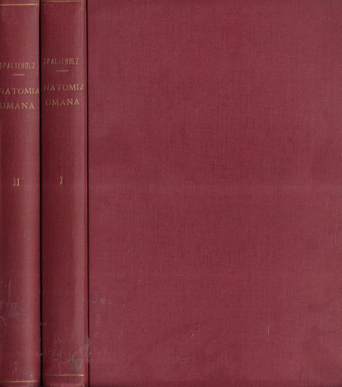 Manuale-atlante di anatomia umana Vol. I, II