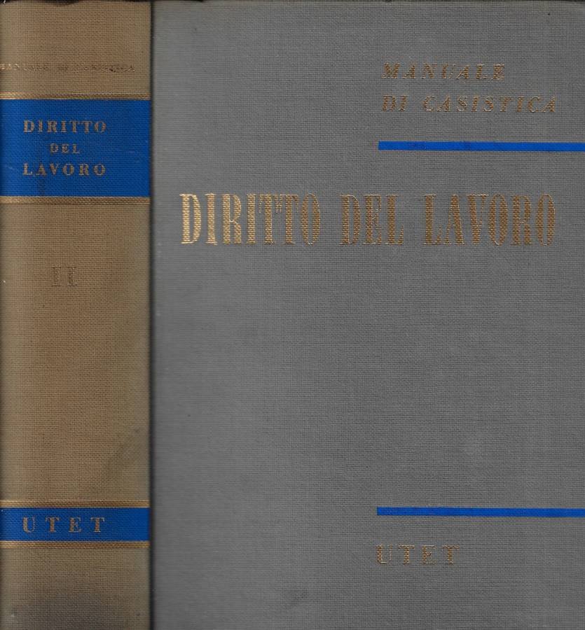 Manuale di casistica del diritto del lavoro privato subordinato II | Immagine principale