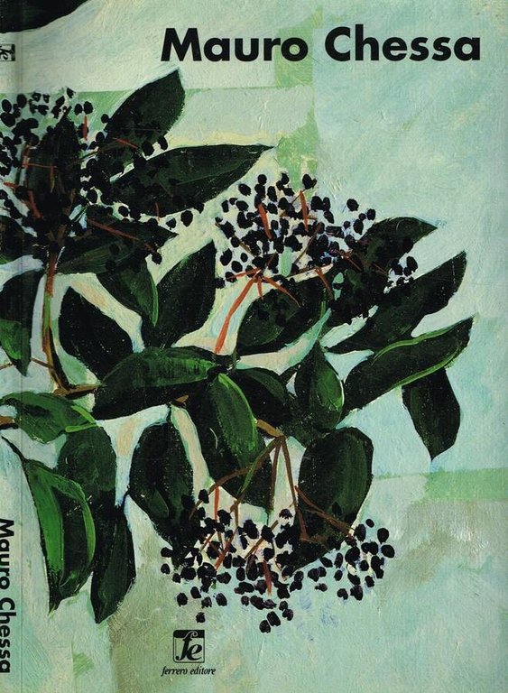 MAURO CHESSA | Immagine Gallery 2