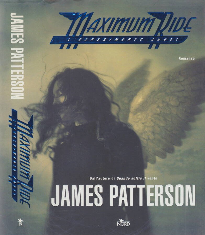 Maximum ride: L'esperimento angel