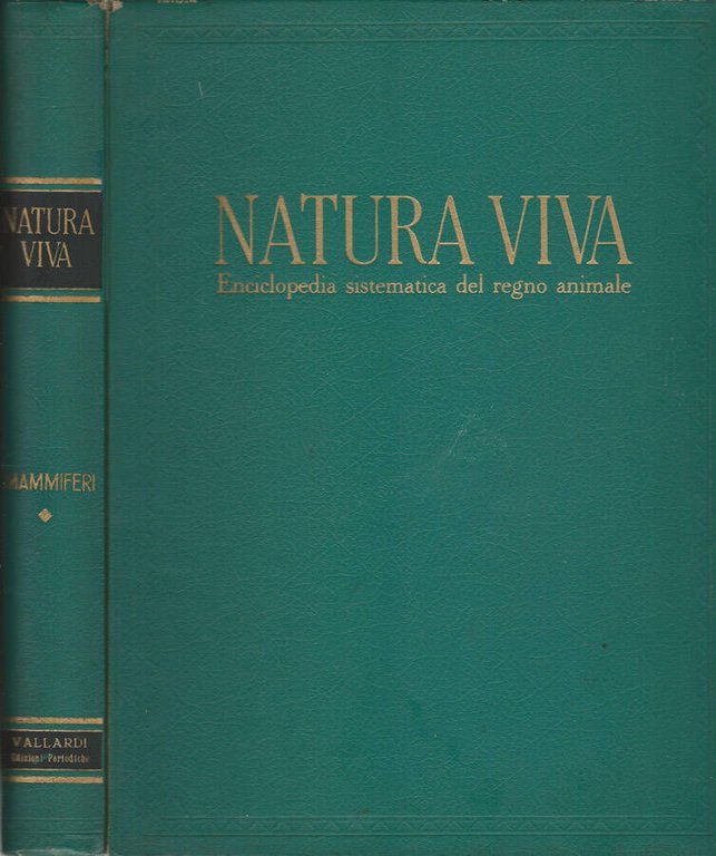 Natura viva VOIL I