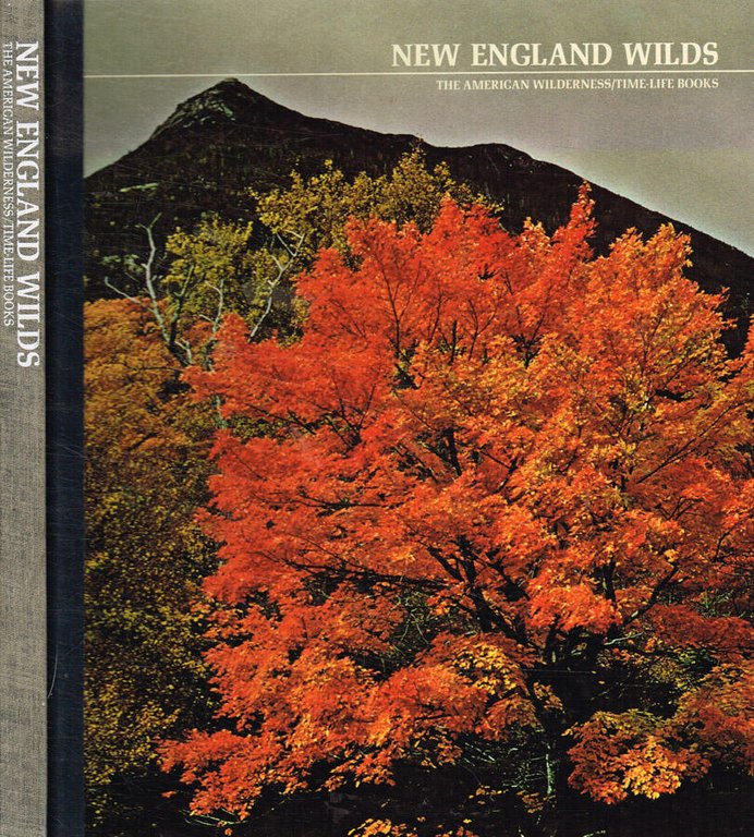 New england wilds | Immagine Gallery 2