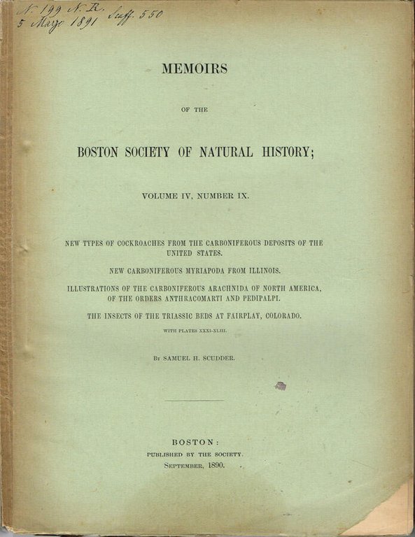 New Types of Cockroaches from the Carboniferous Deposits of the … | Immagine Gallery 2