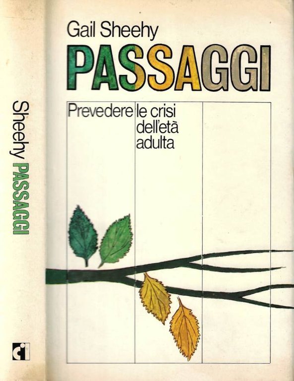 Passaggi: prevedere le crisi dell'età adulta
