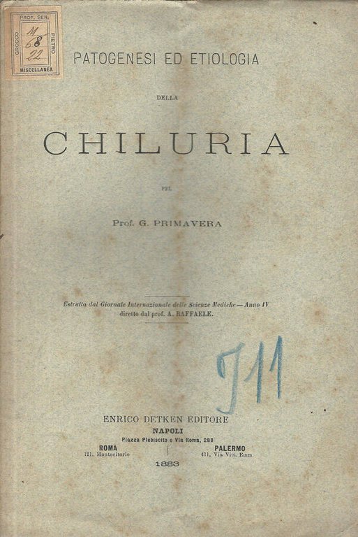 Patogenesi ed etiologia della Chiluria