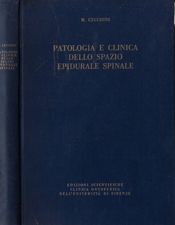 Patologia e clinica dello spazio epidurale spinale | Immagine Gallery 2