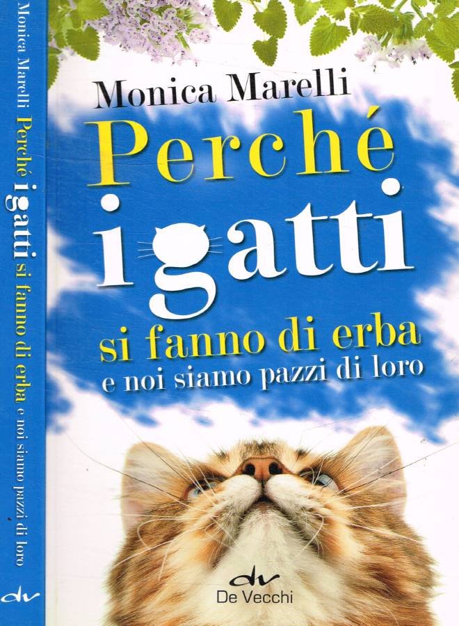 Perché i gatti si fanno di erba e noi siamo … | Immagine principale
