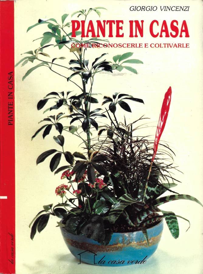 Piante in Casa | Immagine principale