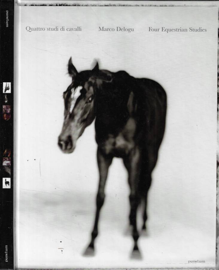 Quattro studi di cavalli- Il cavallo di bronzo nei Musei …