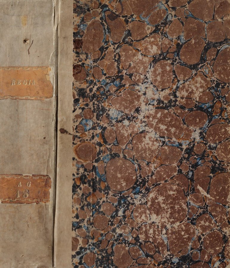 Regia Parnassi seu Musarum Palatium