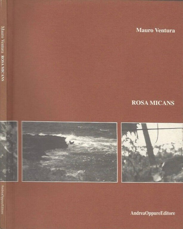 Rosa Micans | Immagine Gallery 2