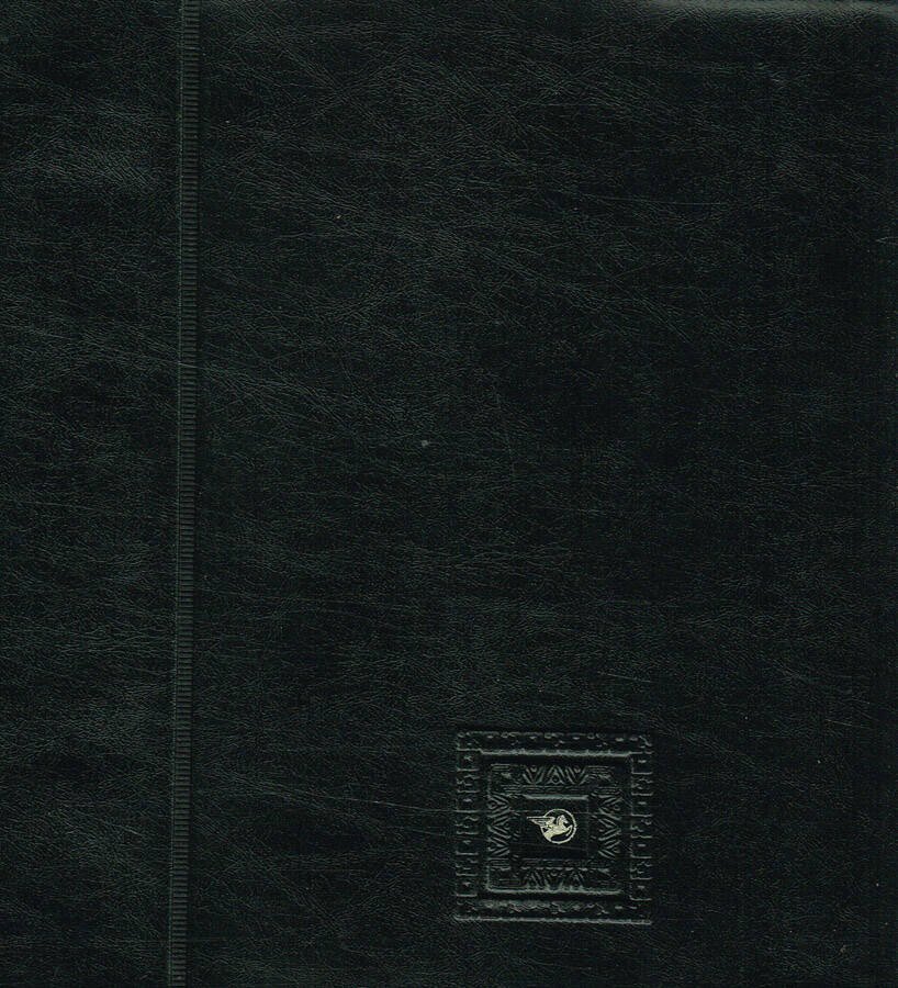 Selezione del libro. I grandi successi condensati