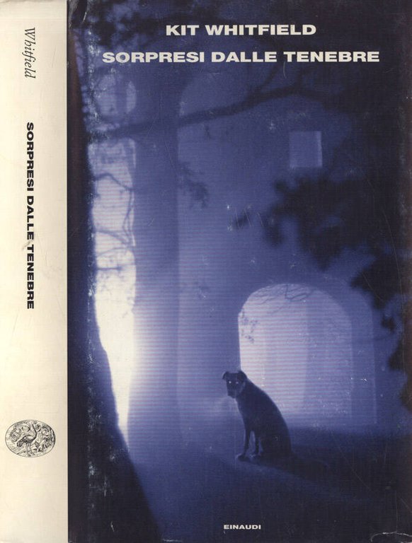 Sorpresi dalle tenebre | Immagine Gallery 2