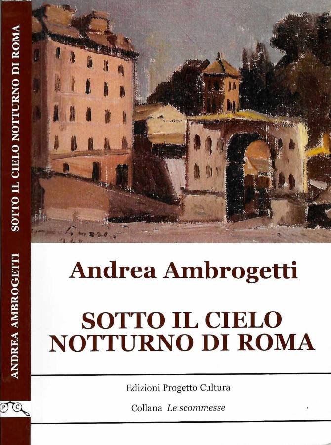 Sotto il cielo notturno di Roma