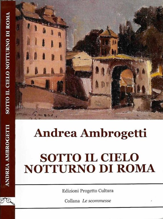 Sotto il cielo notturno di Roma