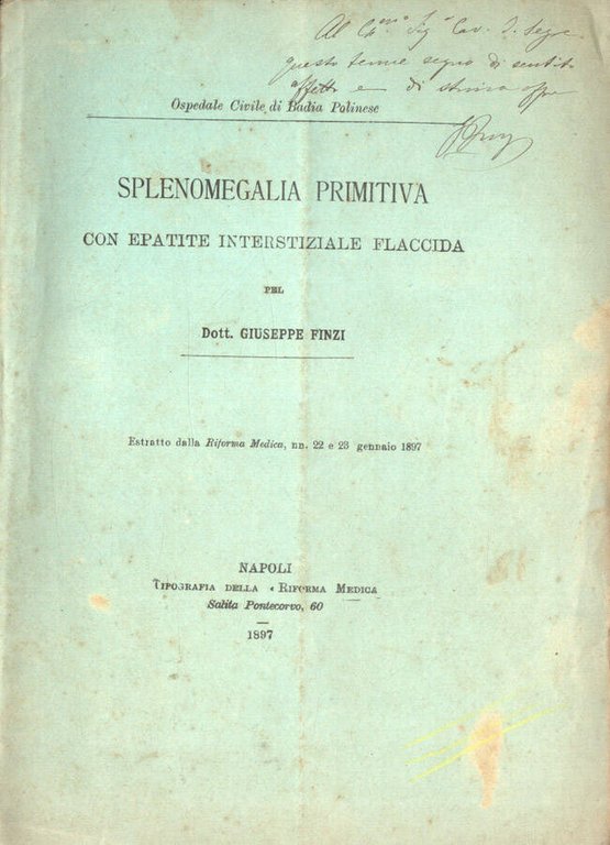 Splenomegalia primitiva con epatite interstiziale flaccida | Immagine Gallery 2