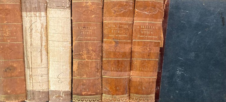 Storia del Parlamento Subalpino: iniziatore dell'unità italiana | Immagine Gallery 2