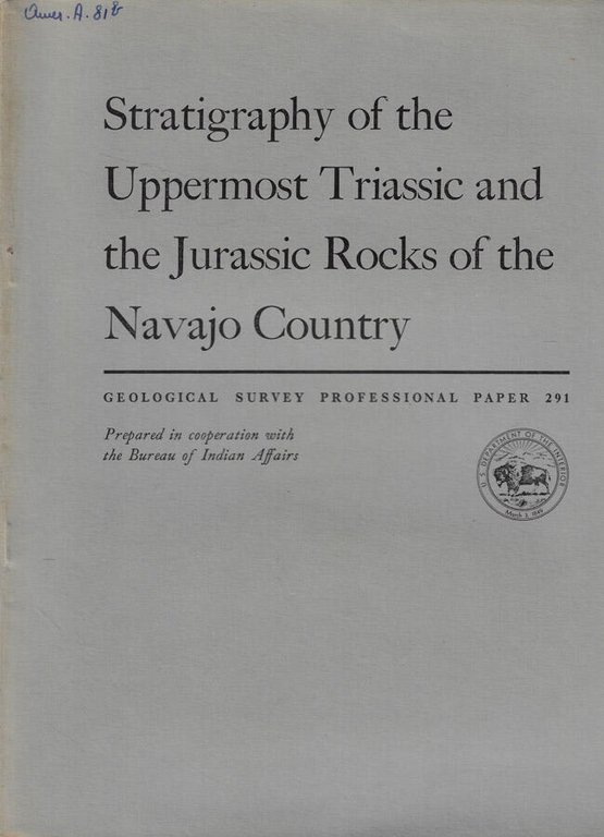 Stratigraphy of the Uppermost Triassic and the Jurassic Rocks of …