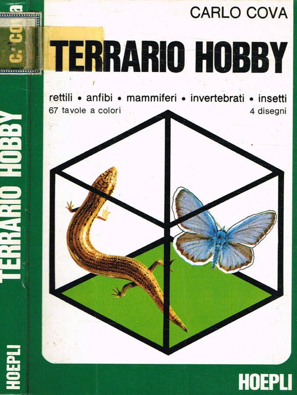 Terrario Hobby