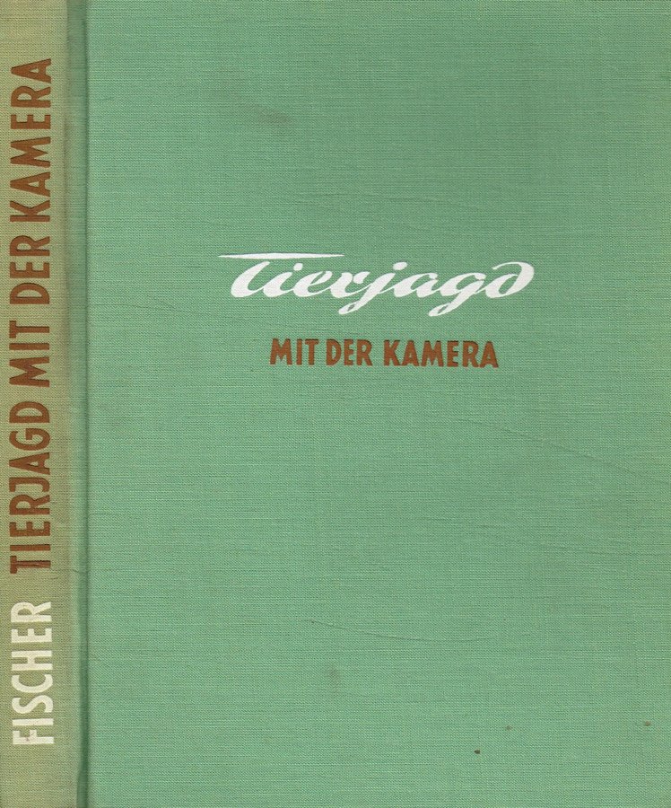 Tierjagd mit der kamera