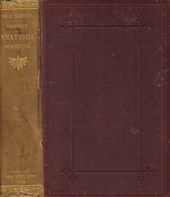 Trattato di anatomia descrittiva vol.III