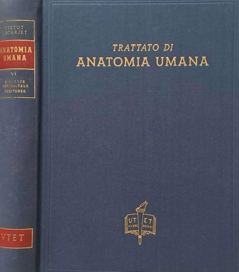 Trattato di anatomia umana. Anatomia descrittiva e microscopica - Organogenesi. …