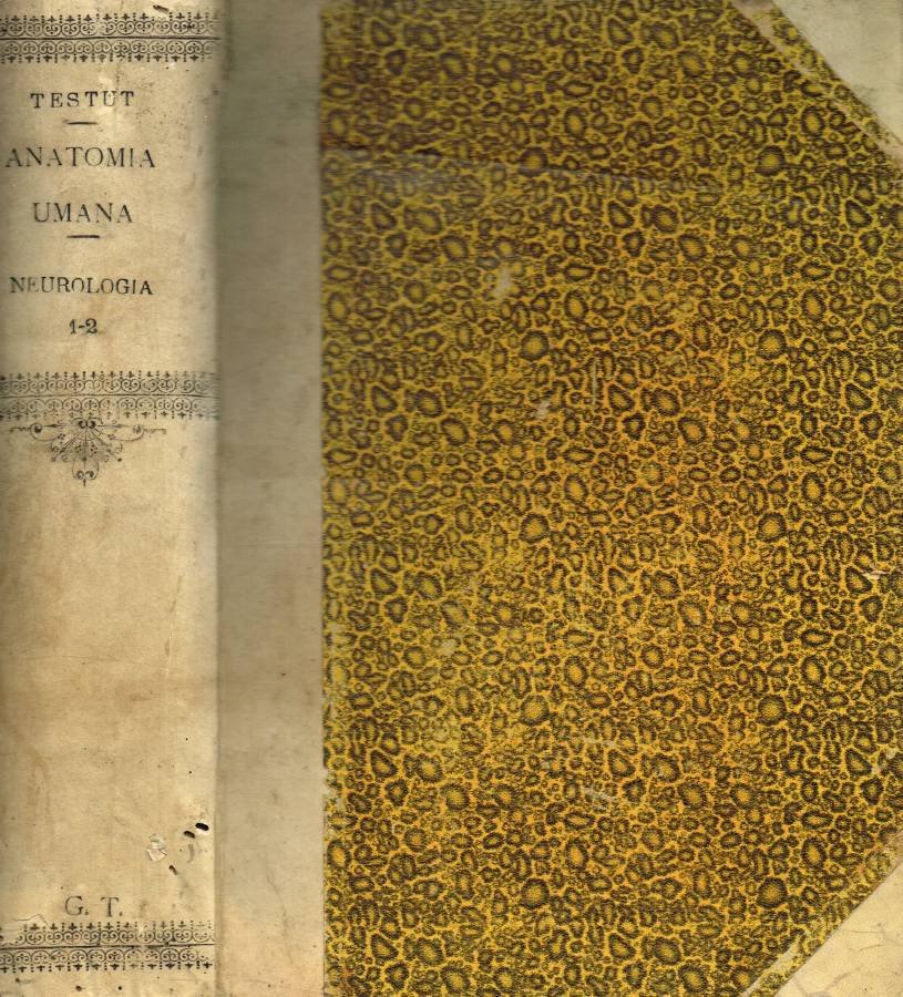 Trattato di anatomia umana, anatomia descrittiva, istologia, sviluppo. Vol.secondo, parte …