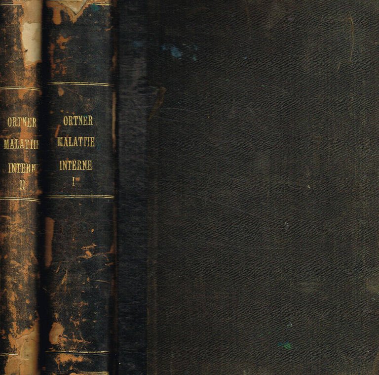 Trattato di terapia speciale delle malattie interne ad uso dei …