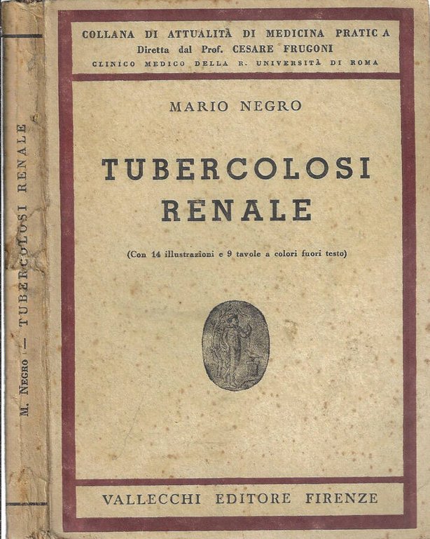 Tubercolosi renale