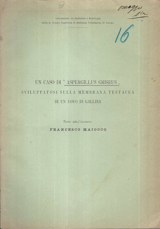 Un caso di "Aspergillus Griseus" sviluppatosi sulla membrana testacea di … | Immagine Gallery 2