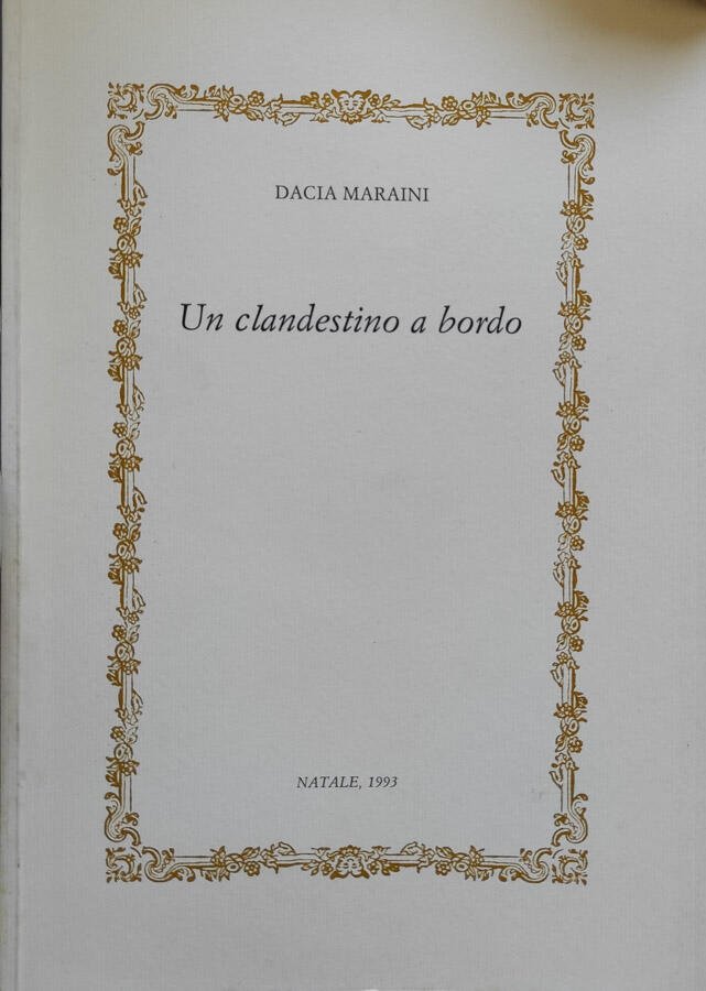 Un clandestino a bordo