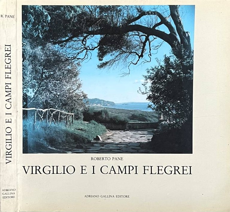 Virgilio e i campi Flegrei