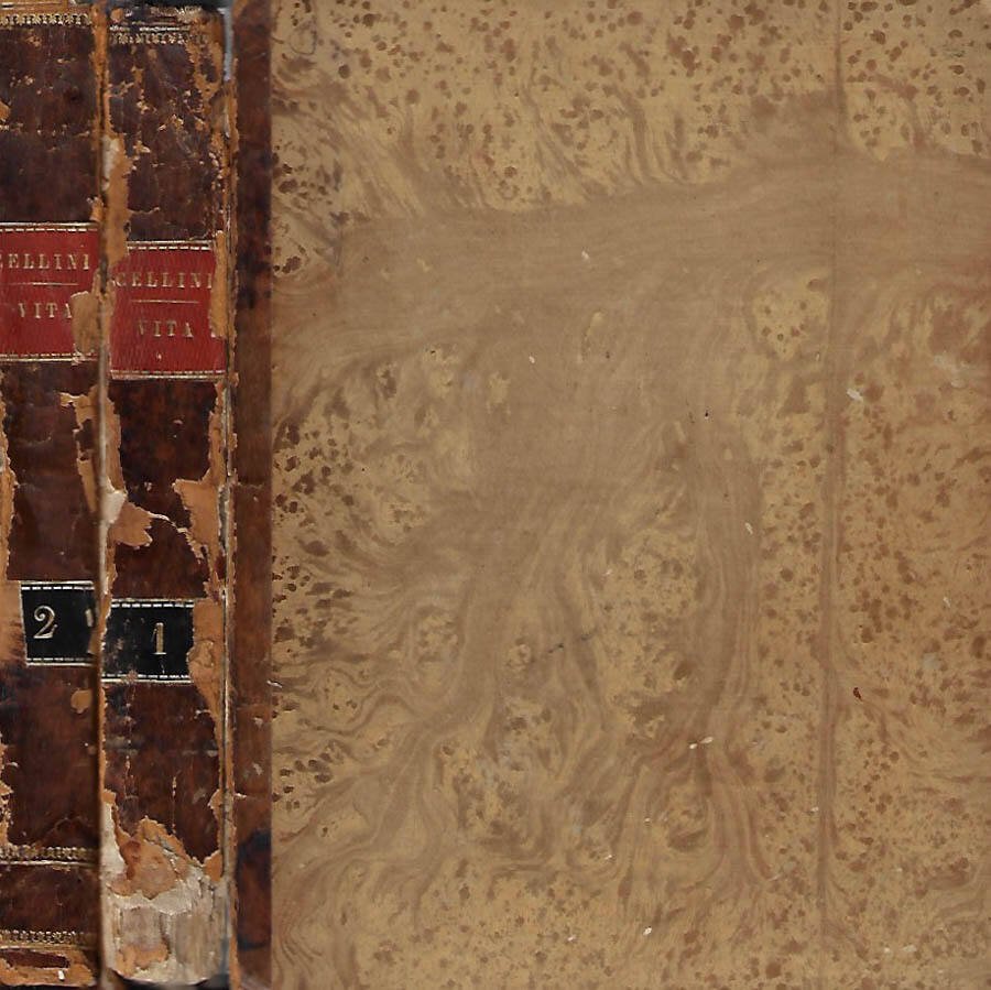 Vita di Benvenuto Cellini orefice e scultore fiorentino da lui … | Immagine principale