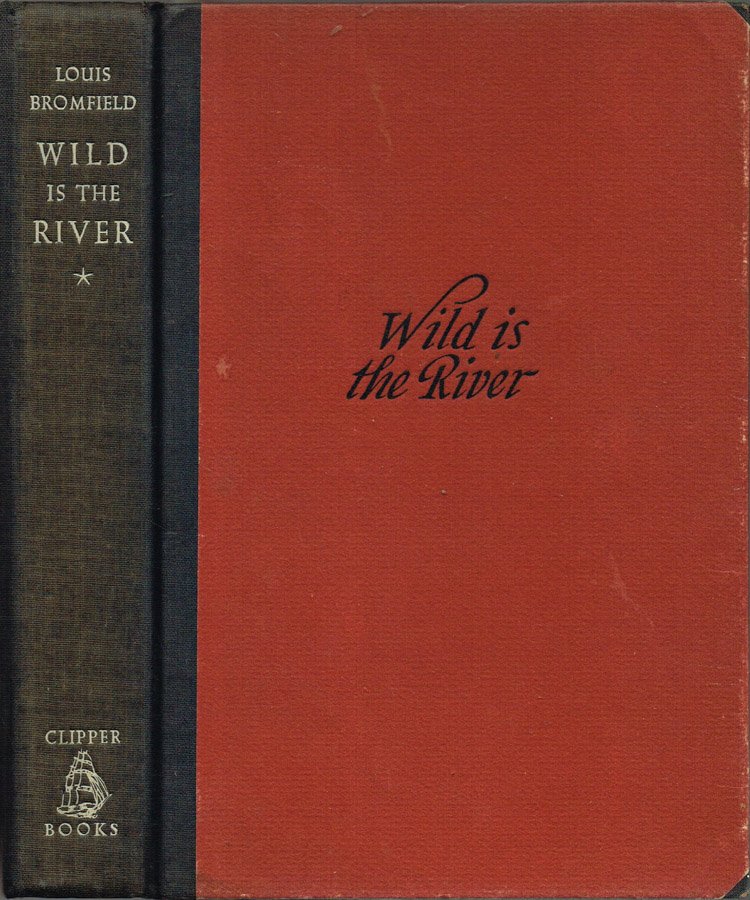 Wild is the River | Immagine principale