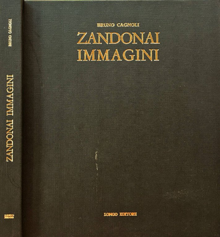 Zandonai Immagini